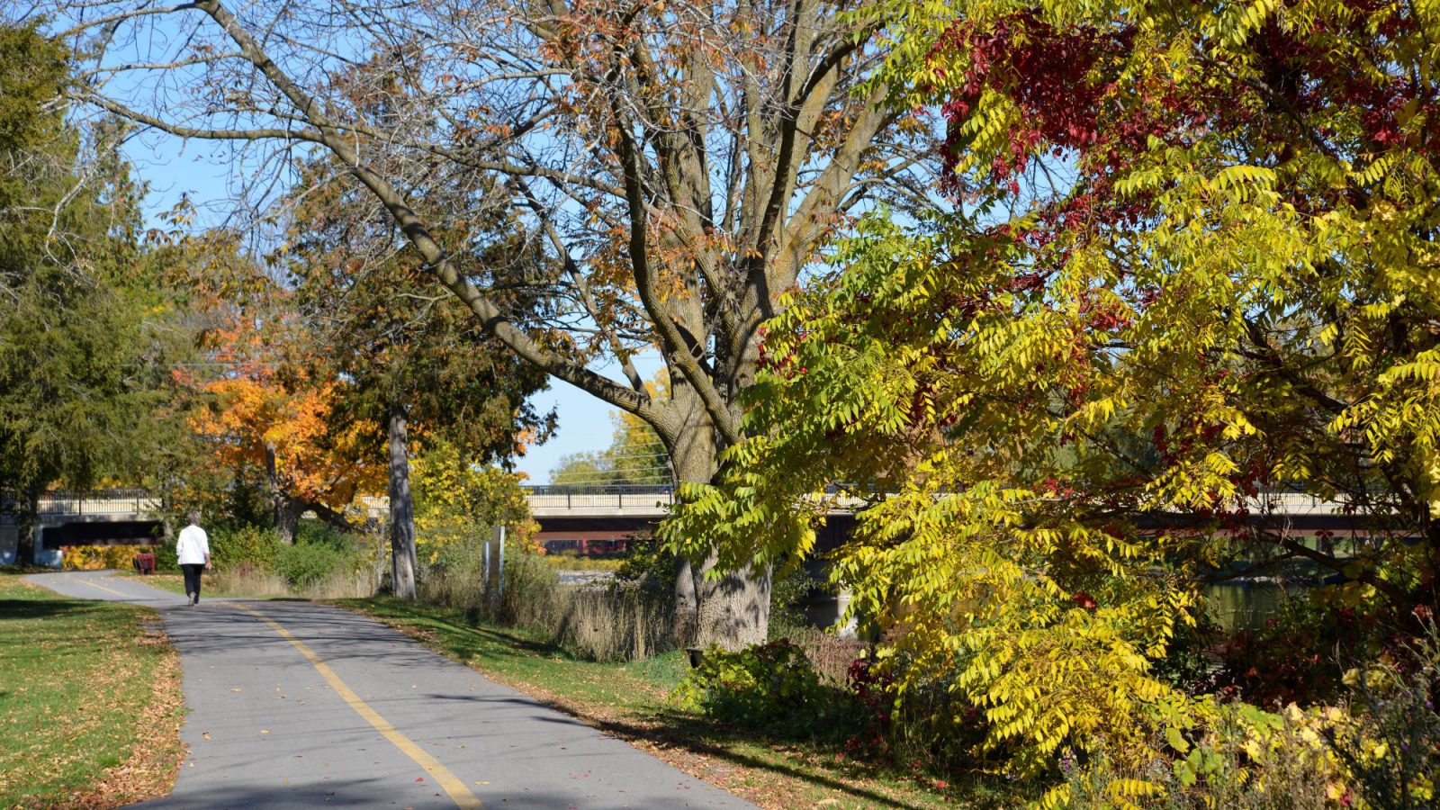 Tour The Trails Discover Belleville