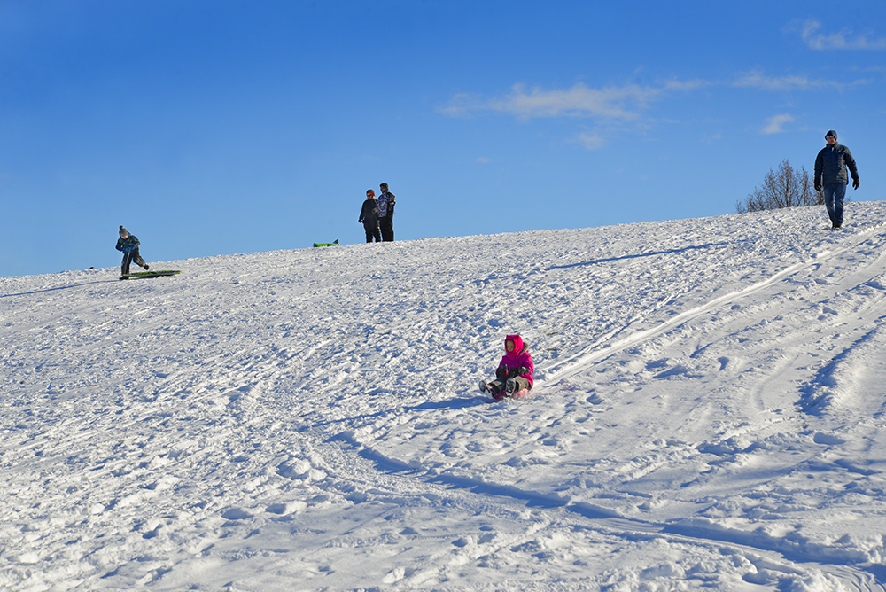 Several children tobogganing down the hill at East Zwick's Park