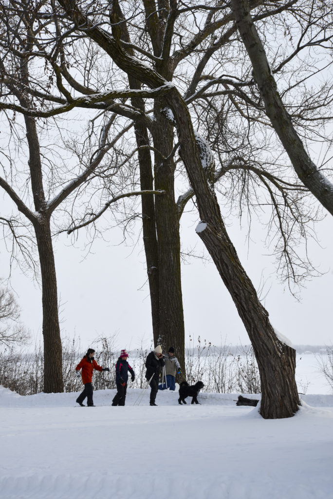 A family and their dog walk along a snowy waterfront trail.