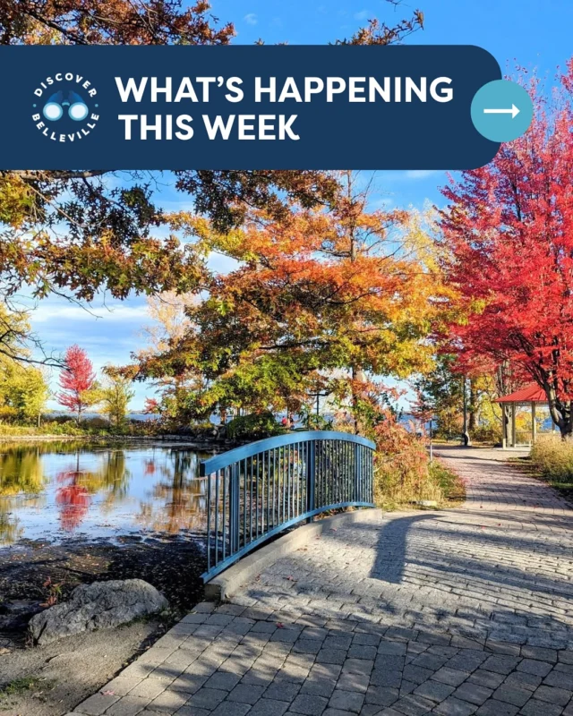 ✨ What’s Happening in Belleville This Week! ✨

📅 November 17-23

From live music and markets to family fun and seasonal events — there’s something happening every day in Belleville!

📌 Plan your week and explore all the details at DiscoverBelleville.ca/events

👇 Tell us — which event are you most excited for this week?

Photo by 1-Carol Martin-Desaulniers, 2-City of Belleville, 7-Marie Doucet, 8-Garrett Harvey, 9-Christine Reid